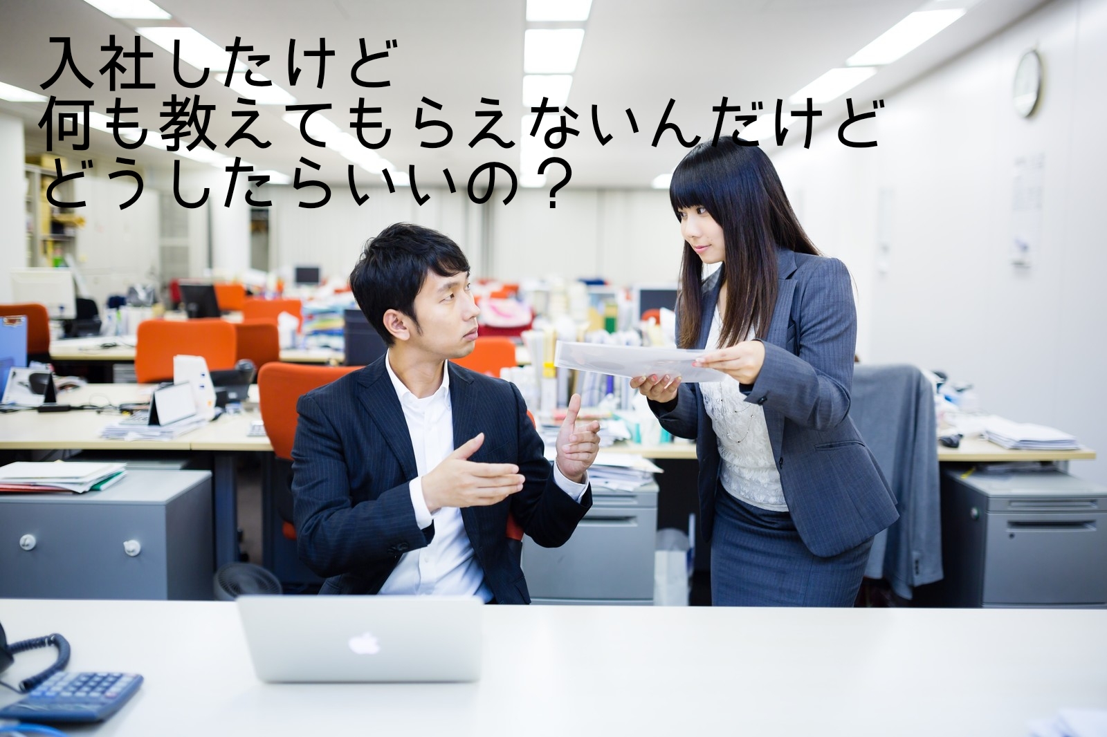 入社したけど、何も教えてもらえないんだけど、どうしたらいいの？｜フリハピ